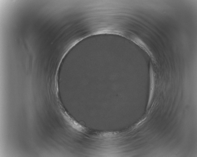 X0000064720892200602131221