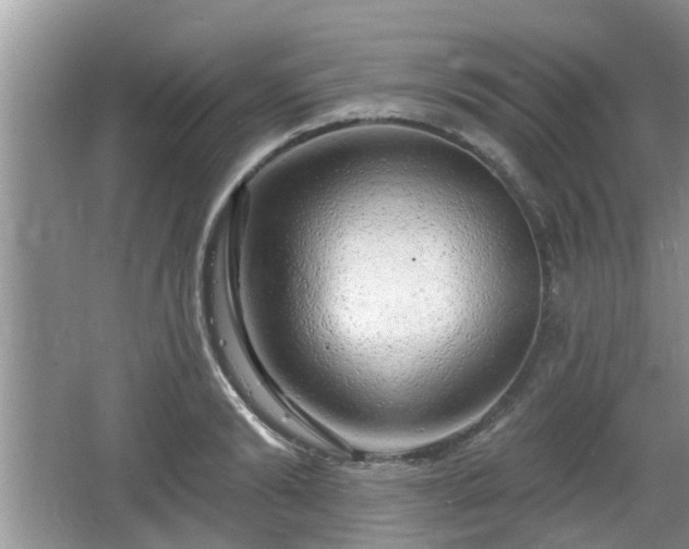 X0000064720894200602131221