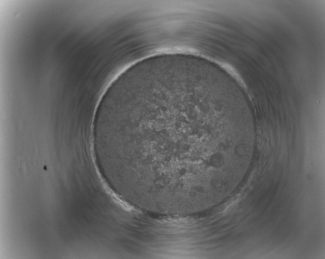 X0000064720895200602131221