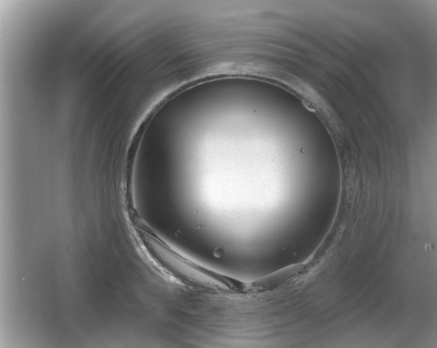 X0000064720896200602131221