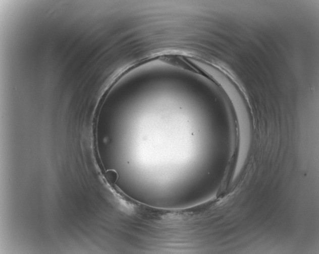 X0000064720898200602131221