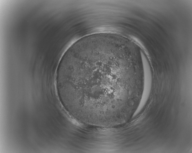 X0000064720899200602131221