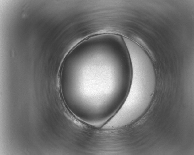 X0000064720900200602131221