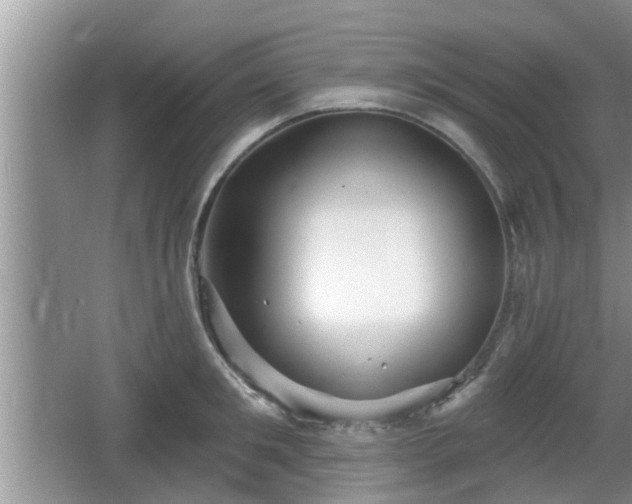 X0000064720901200602131221