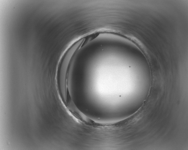 X0000064720902200602131221