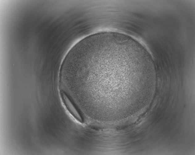 X0000064720903200602131221