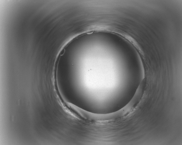 X0000064720904200602131221