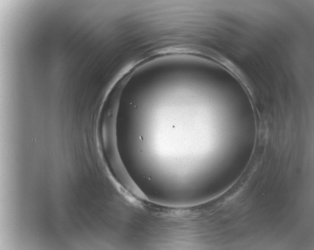 X0000064720909200602131221