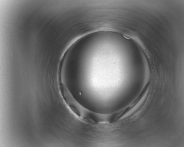 X0000064720910200602131221