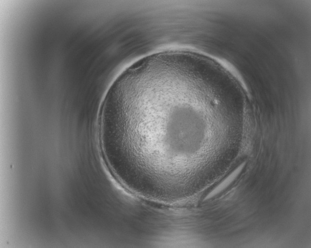 X0000064720911200602131221