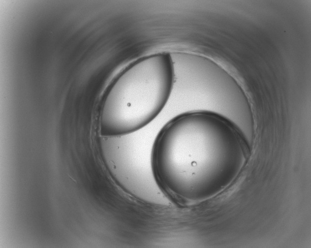 X0000064720912200602131221