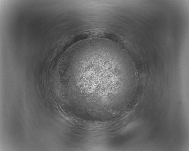 X0000064720913200602131220