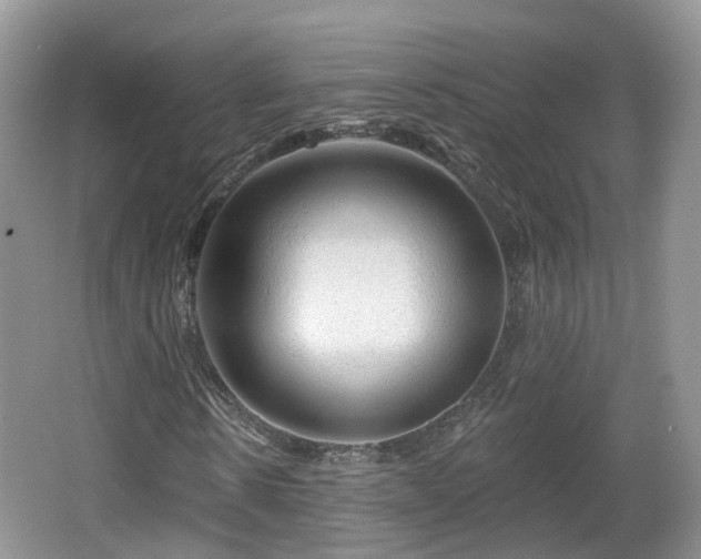 X0000064720914200602131220