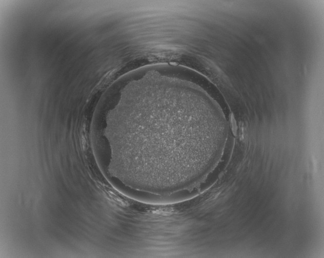 X0000064720915200602131220