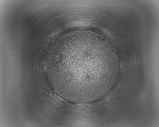 X0000064720917200602131220