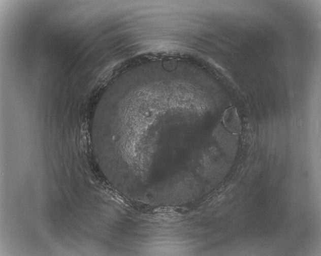 X0000064720918200602131220