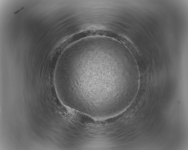 X0000064720919200602131220