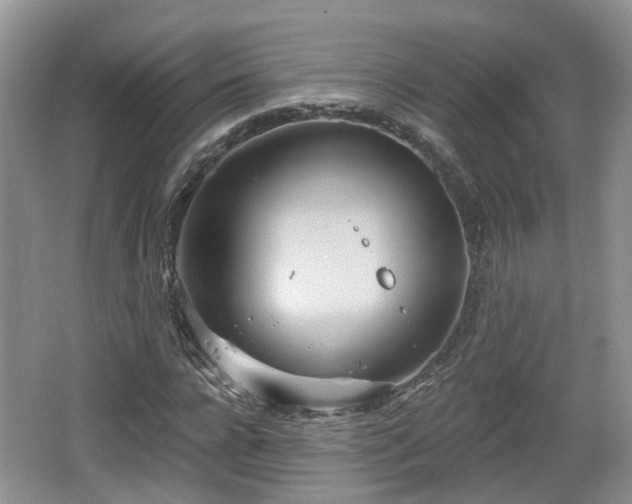 X0000064720920200602131220