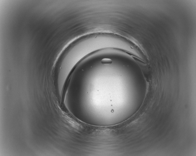 X0000064720926200602131220