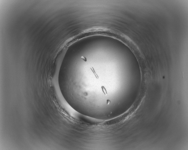 X0000064720929200602131220