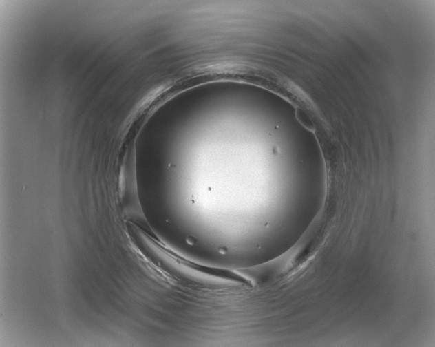 X0000064720930200602131220