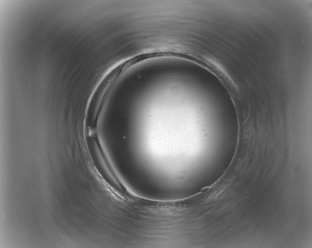 X0000064720932200602131220