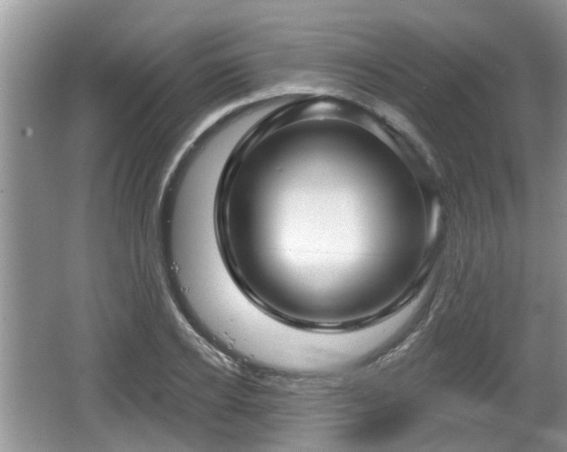 X0000064720934200602131220