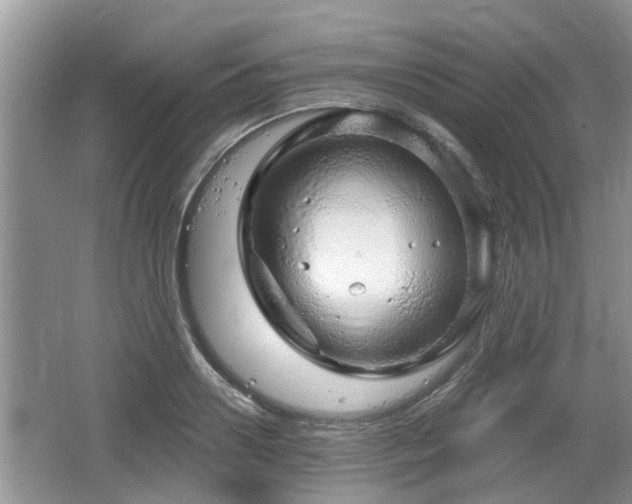 X0000064720938200602131221