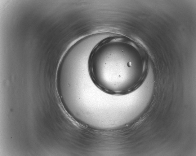 X0000064720940200602131221