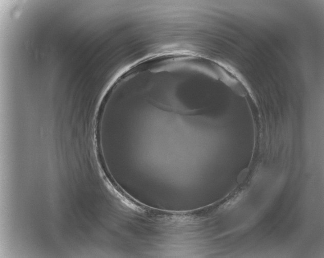 X0000064720941200602131221