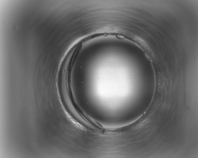 X0000064720942200602131221