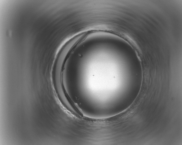 X0000064720944200602131221