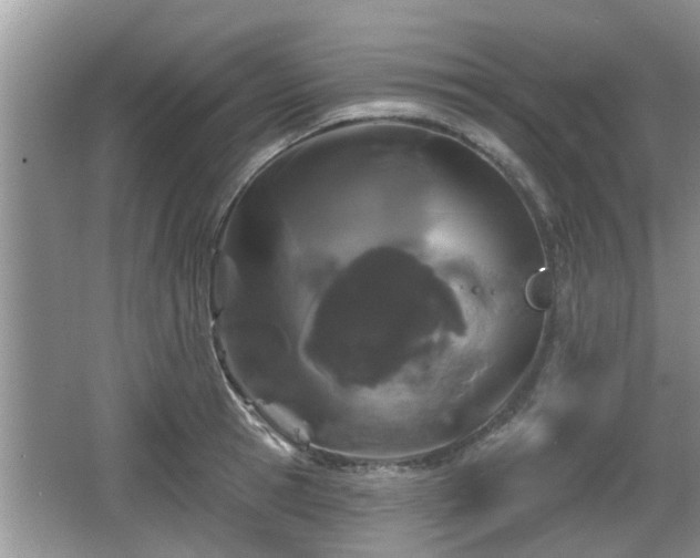 X0000064720945200602131221