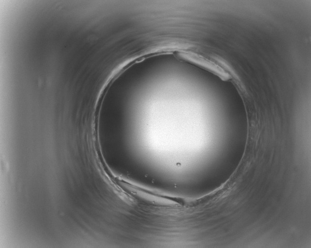 X0000064720948200602131221