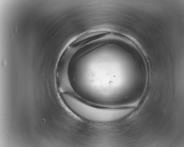 X0000064720949200602131221