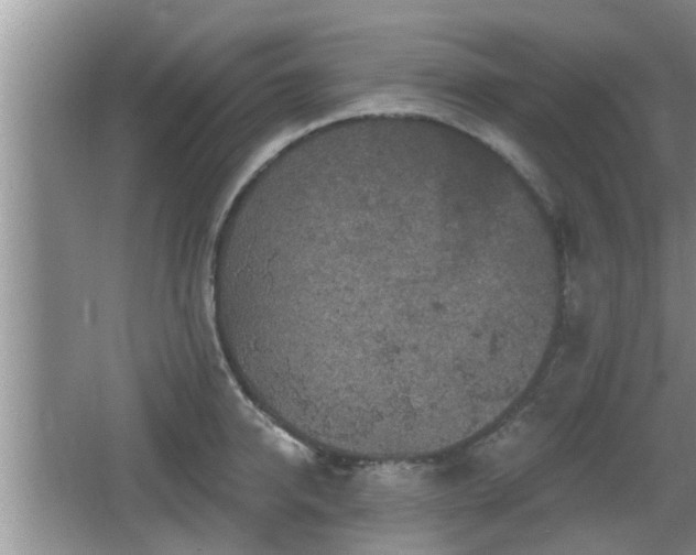 X0000064720950200602131221