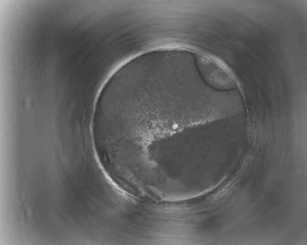 X0000064720951200602131221