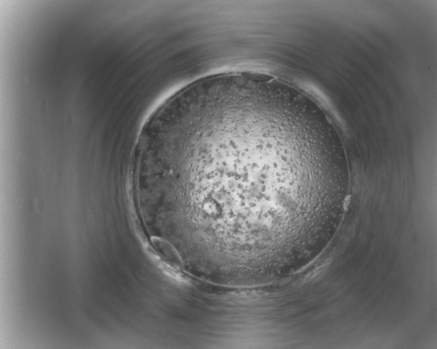 X0000064720952200602131221