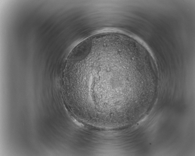 X0000064720953200602131221