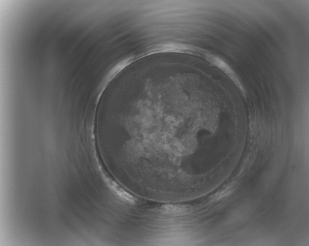 X0000064720954200602131221