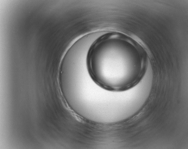 X0000064720956200602131221