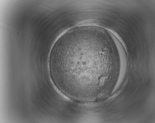 X0000064720957200602131221