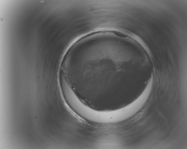 X0000064720958200602131221