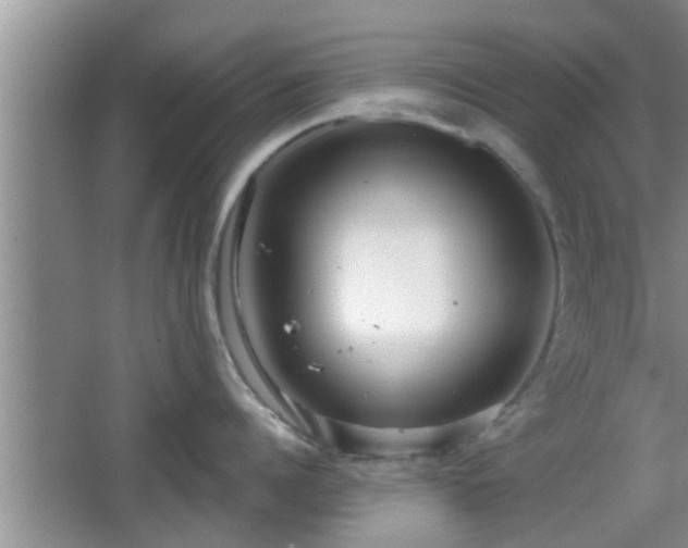 X0000064720960200602131221