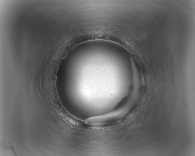 X0000064720961200602131220