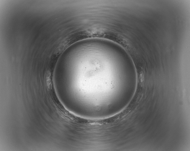 X0000064720963200602131220