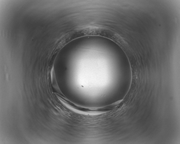 X0000064720964200602131220