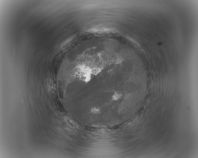 X0000064720966200602131220