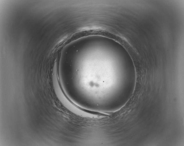 X0000064720967200602131220