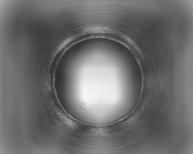 X0000064720970200602131220